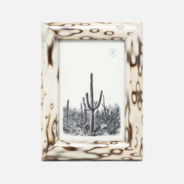 Bisbee Frame 4"x6"