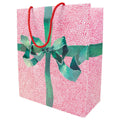 Tied With A Bow Gift Bag Large