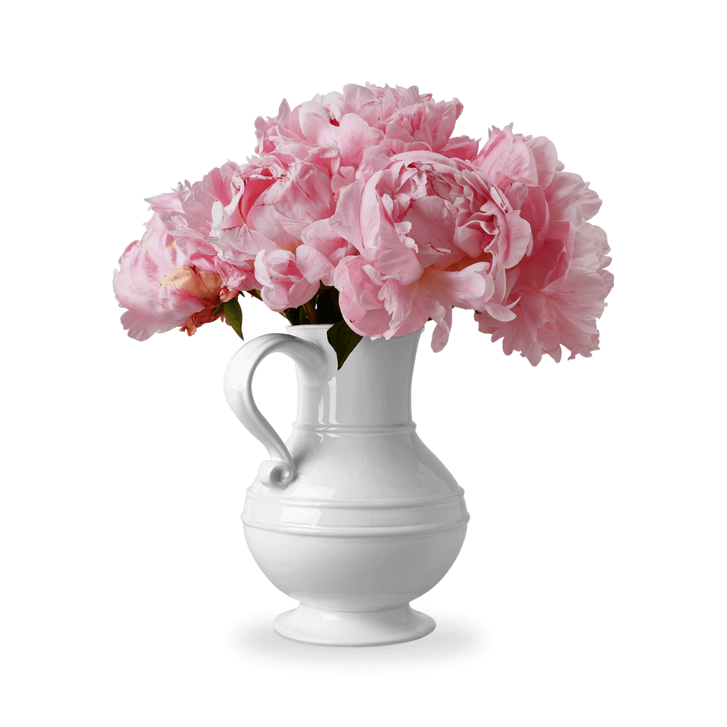 1508 Pitcher