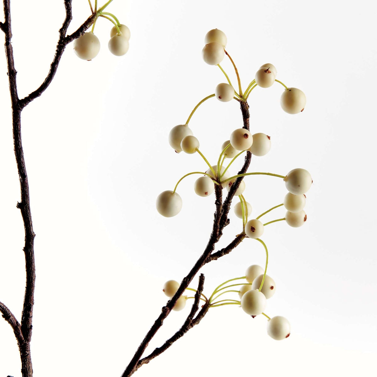 White Berry Branch 36"