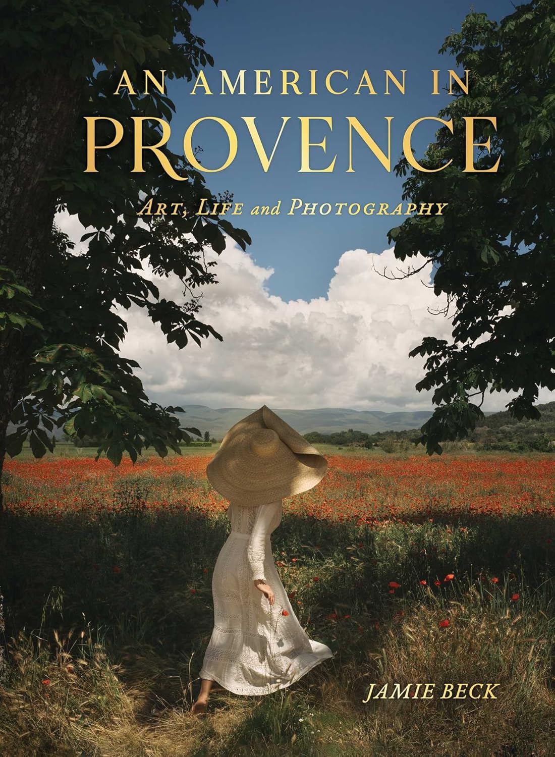 Book An American In Provence