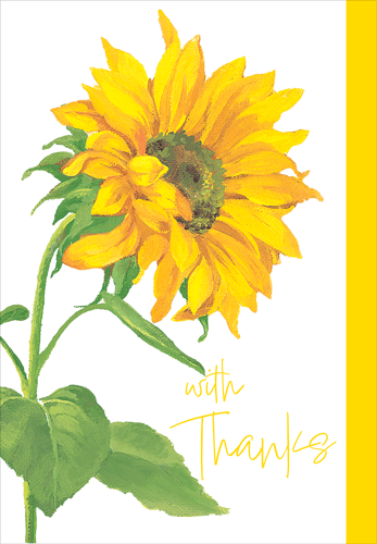 Sunny Thanks Greeting Card