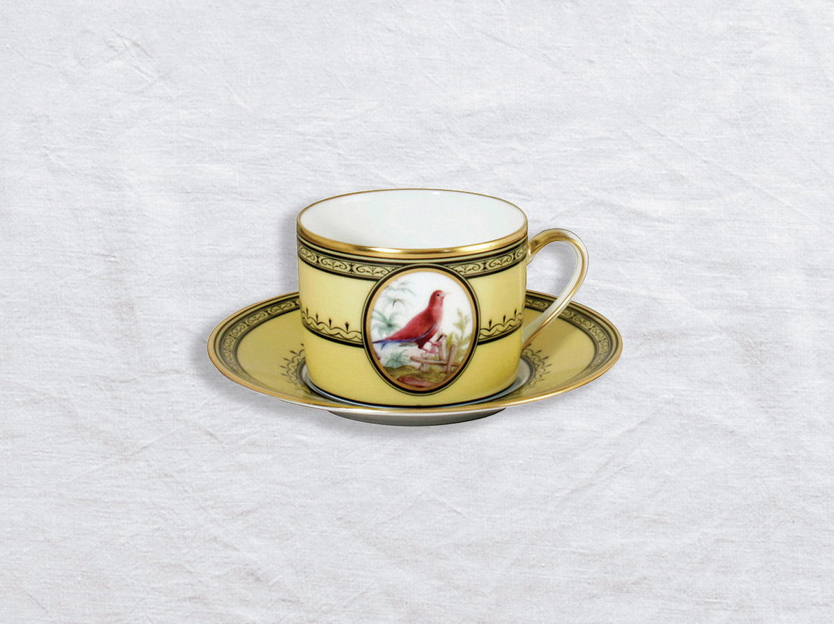 Tea Cup & Saucer Le rolle de Madagascar Jumbo