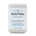 Men's Exfoliating Body Soap