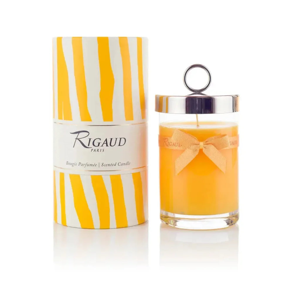 Tournesol 230 Gram Large Candle