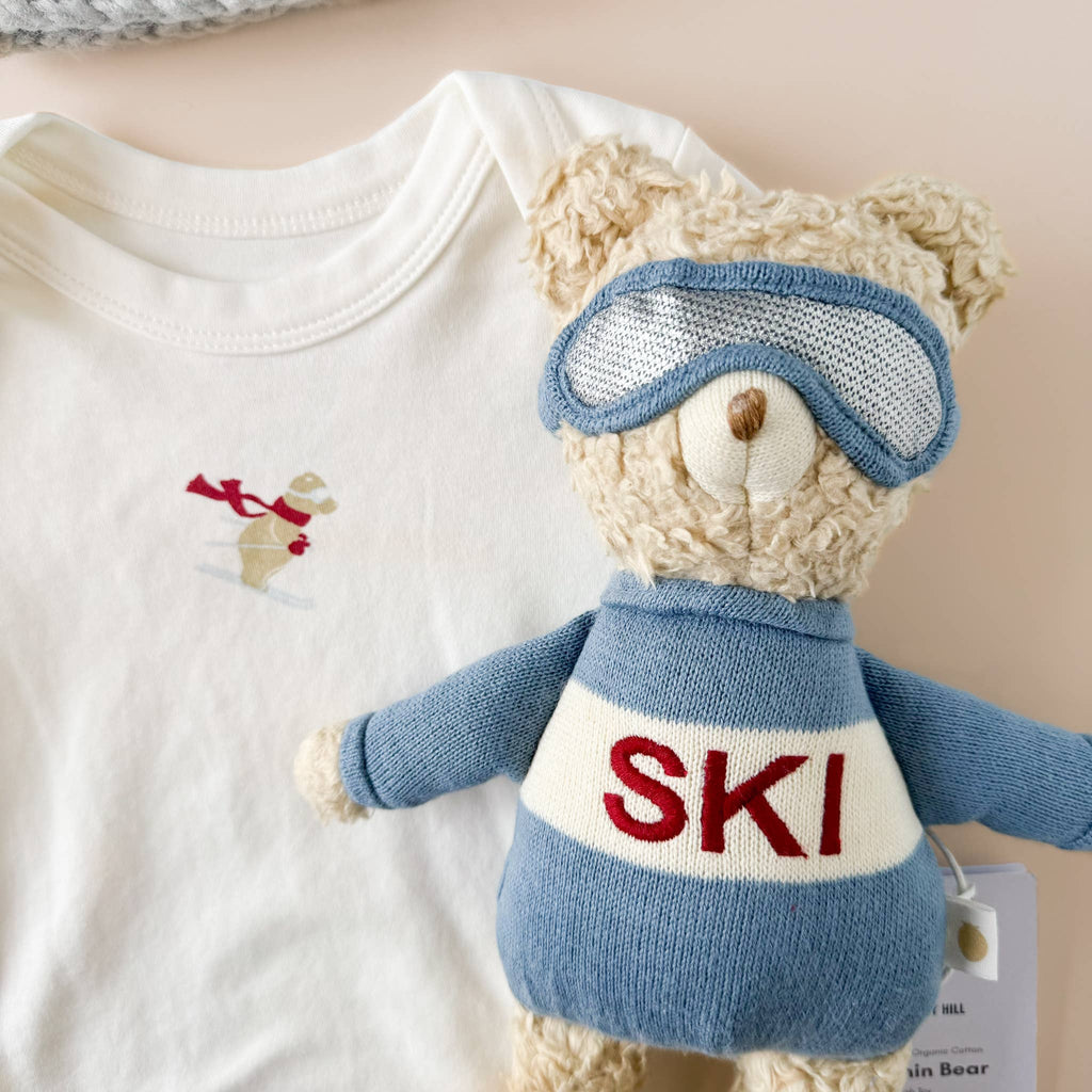 Blue Plush Bear Ski Stuffed Animal