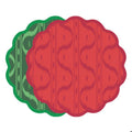 Festive Reversible Placemats Green & Red