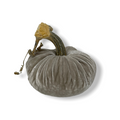 Pumpkin Putty 6 in.