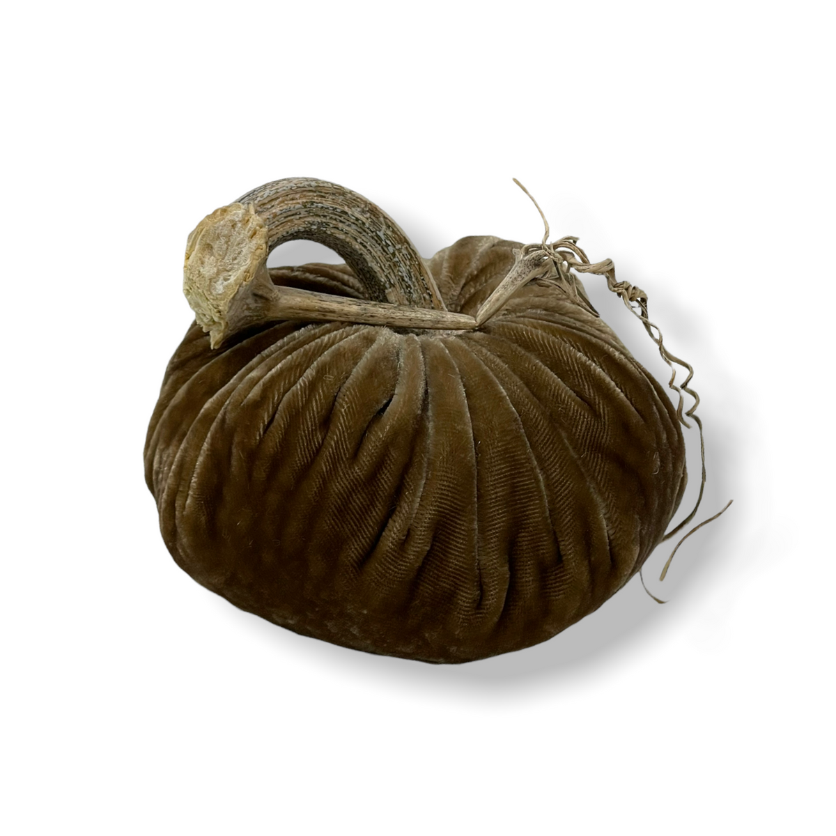 Pumpkin Stone 6 in.