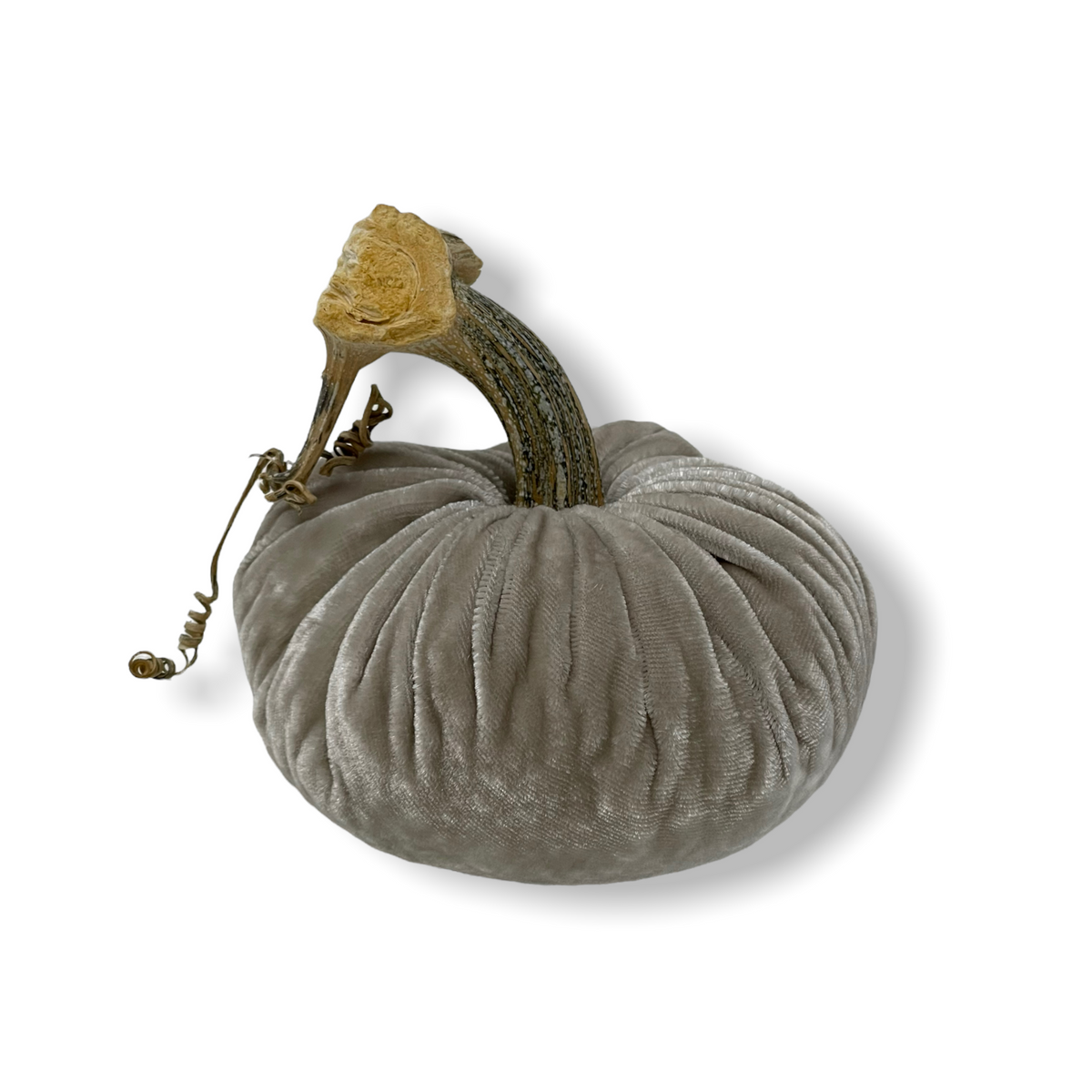 Pumpkin Putty 4 in.