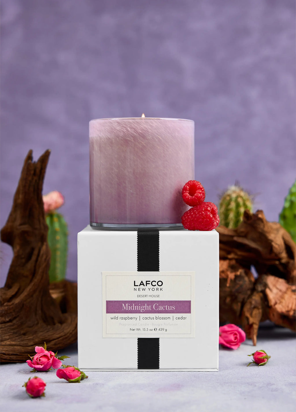 Midnight Cactus Signature Candle