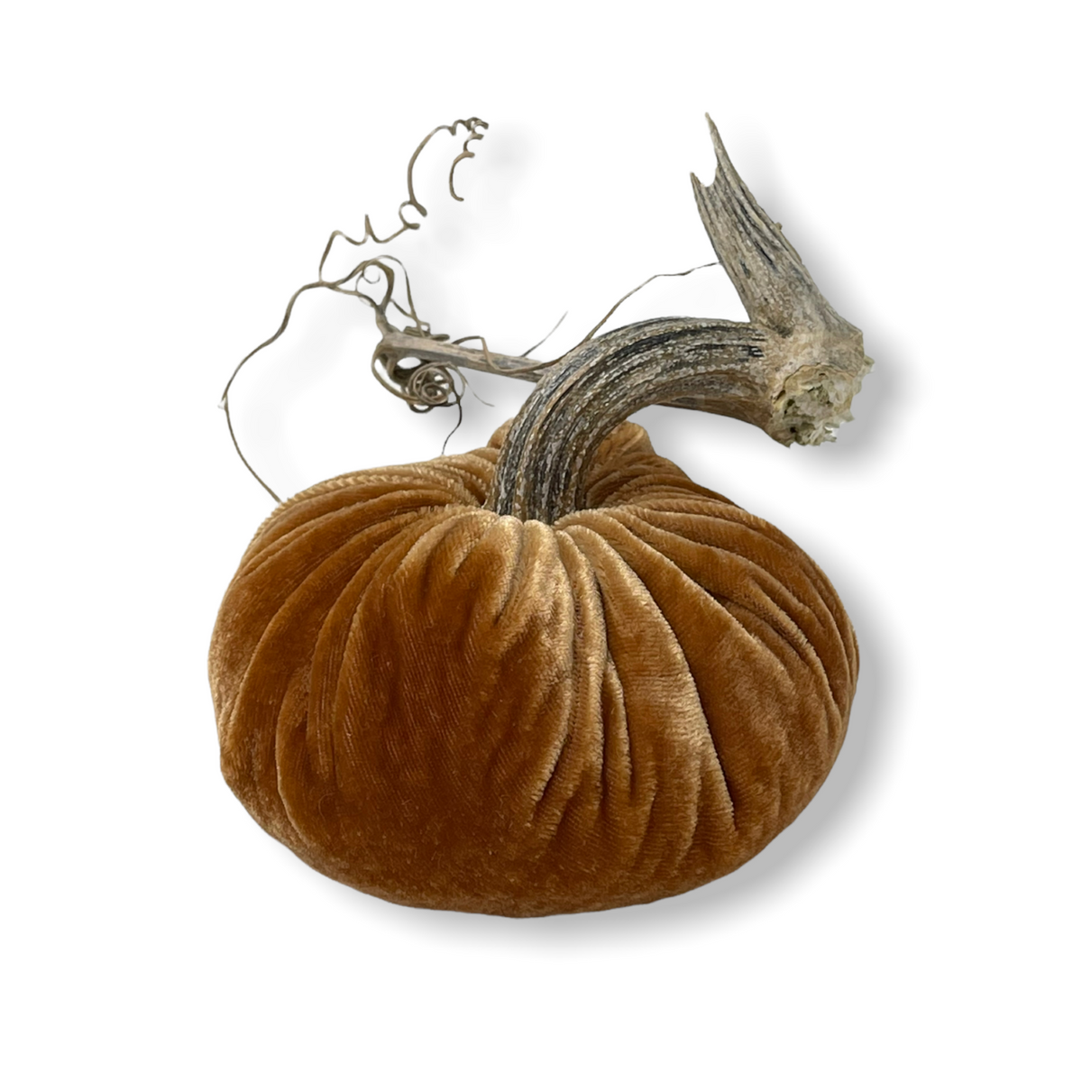 Pumpkin Spice 5in.